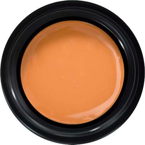 プリジェル カラーEX スモーキーキャメルＲ