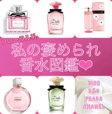 DOLCE EAU DE PARFUM（ドルチェ オードパルファム）/DOLCE&GABBANA BEAUTY/香水(レディース)を使ったクチコミ（1枚目）