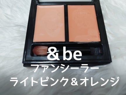 &be ファンシーラー/&be/パレットコンシーラーを使ったクチコミ(6枚目)
