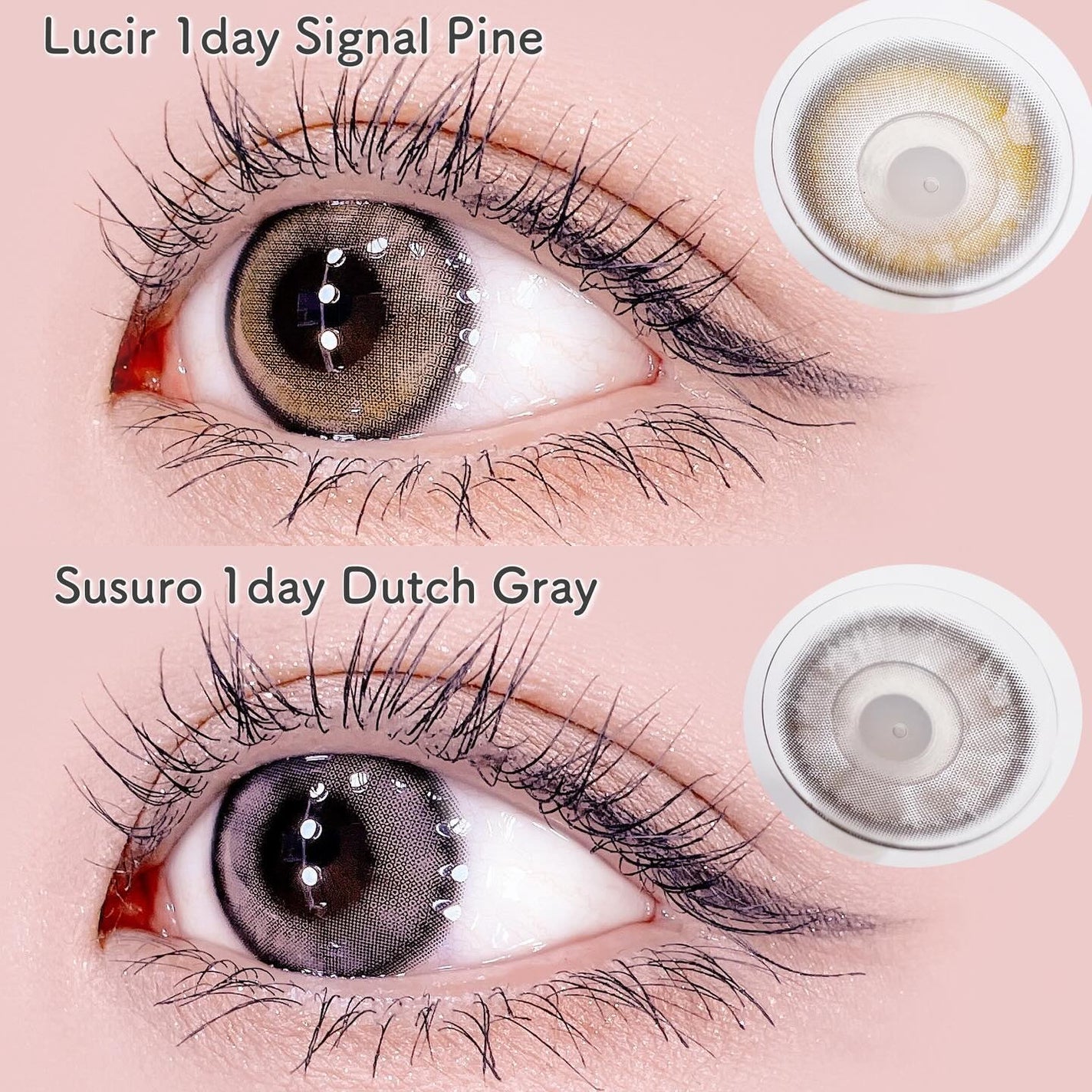 Lucir 1Day/mimundo/カラーコンタクトレンズを使ったクチコミ(3枚目)