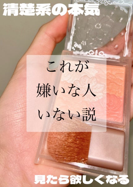 グロウフルールチークス(ブレンドタイプ)/キャンメイク/パウダーチークを使ったクチコミ(1枚目)