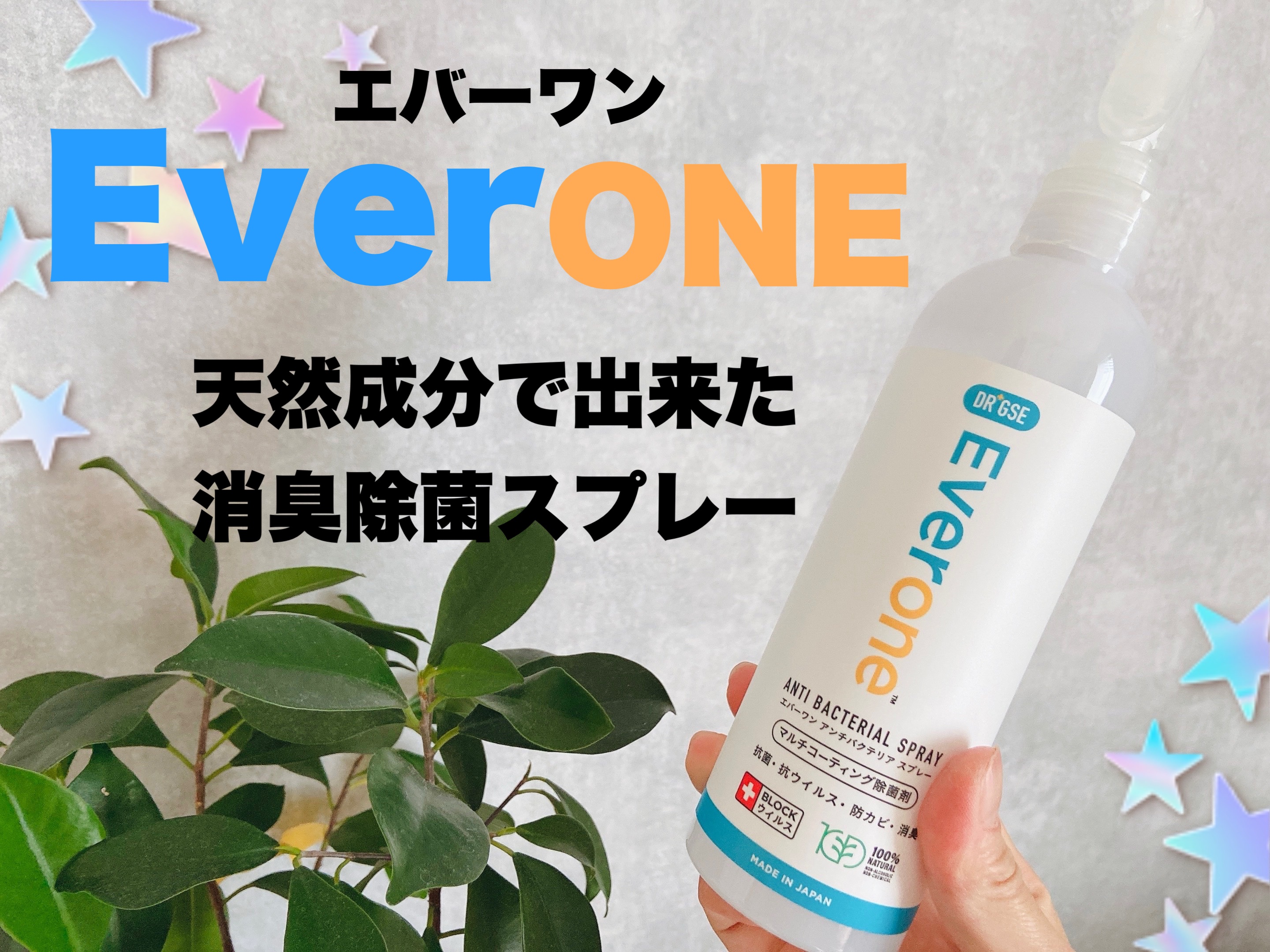 エバーワン マルチ消臭・除菌・抗菌スプレー/DR.GSE/その他を使ったクチコミ（1枚目）