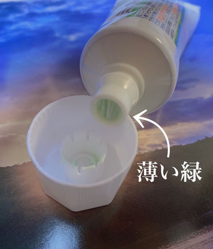 シュミテクト 歯周病ケア ナチュラルハーブ/シュミテクト/歯磨き粉を使ったクチコミ(3枚目)