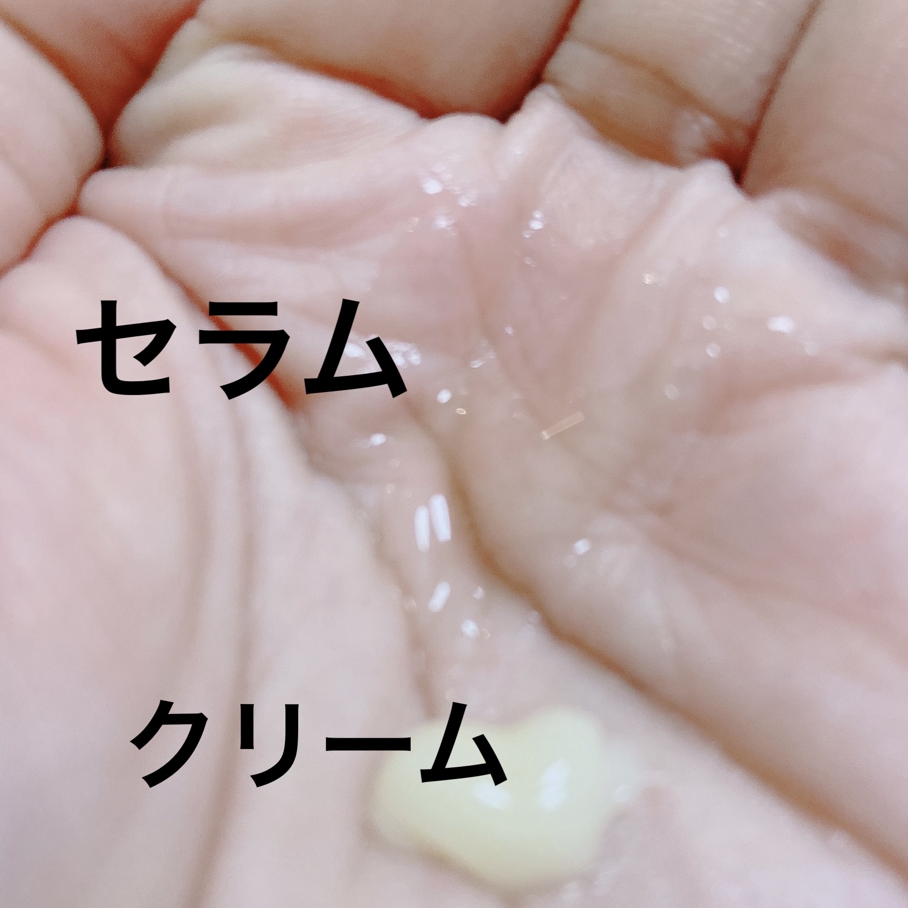 プロポリス タワーバリア リバランシング トナー/TONYMOLY/化粧水を使ったクチコミ（2枚目）