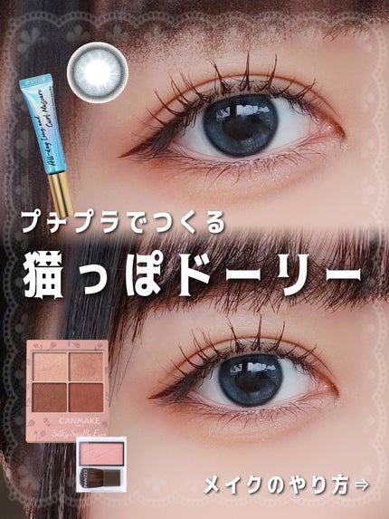 チークブラッシュ/CEZANNE/パウダーチークを使ったクチコミ(1枚目)