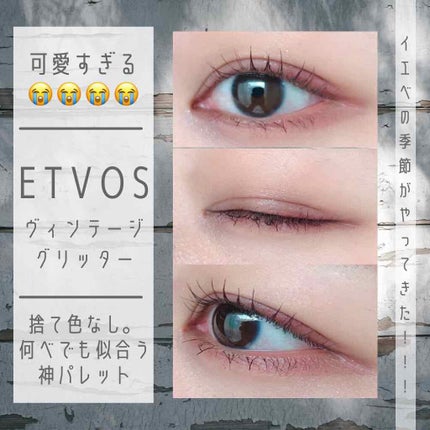 ミネラルクラッシィシャドー/エトヴォス/アイシャドウパレットを使ったクチコミ(2枚目)