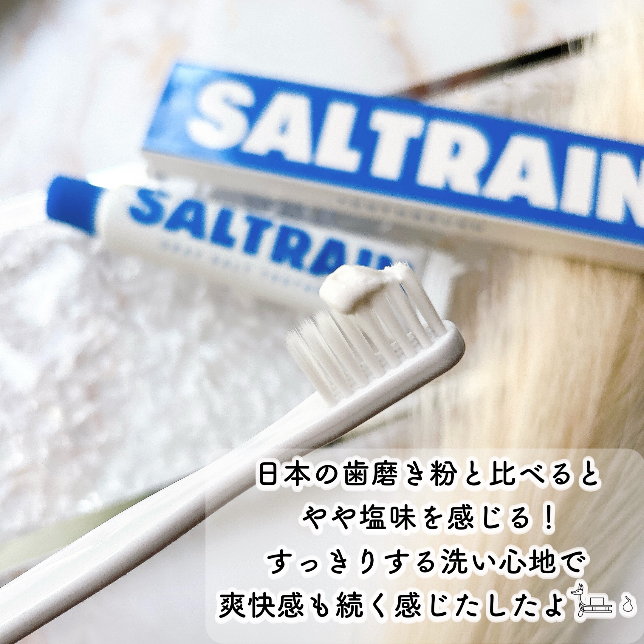 GRAY SALT/SALTRAIN/歯磨き粉を使ったクチコミ（3枚目）