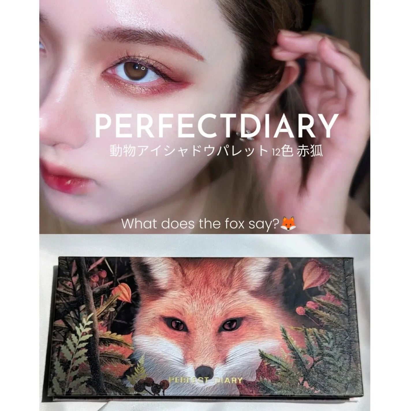 エクスプローラ12色 動物アイシャドウパレット/PERFECT DIARY/アイシャドウパレットを使ったクチコミ(1枚目)