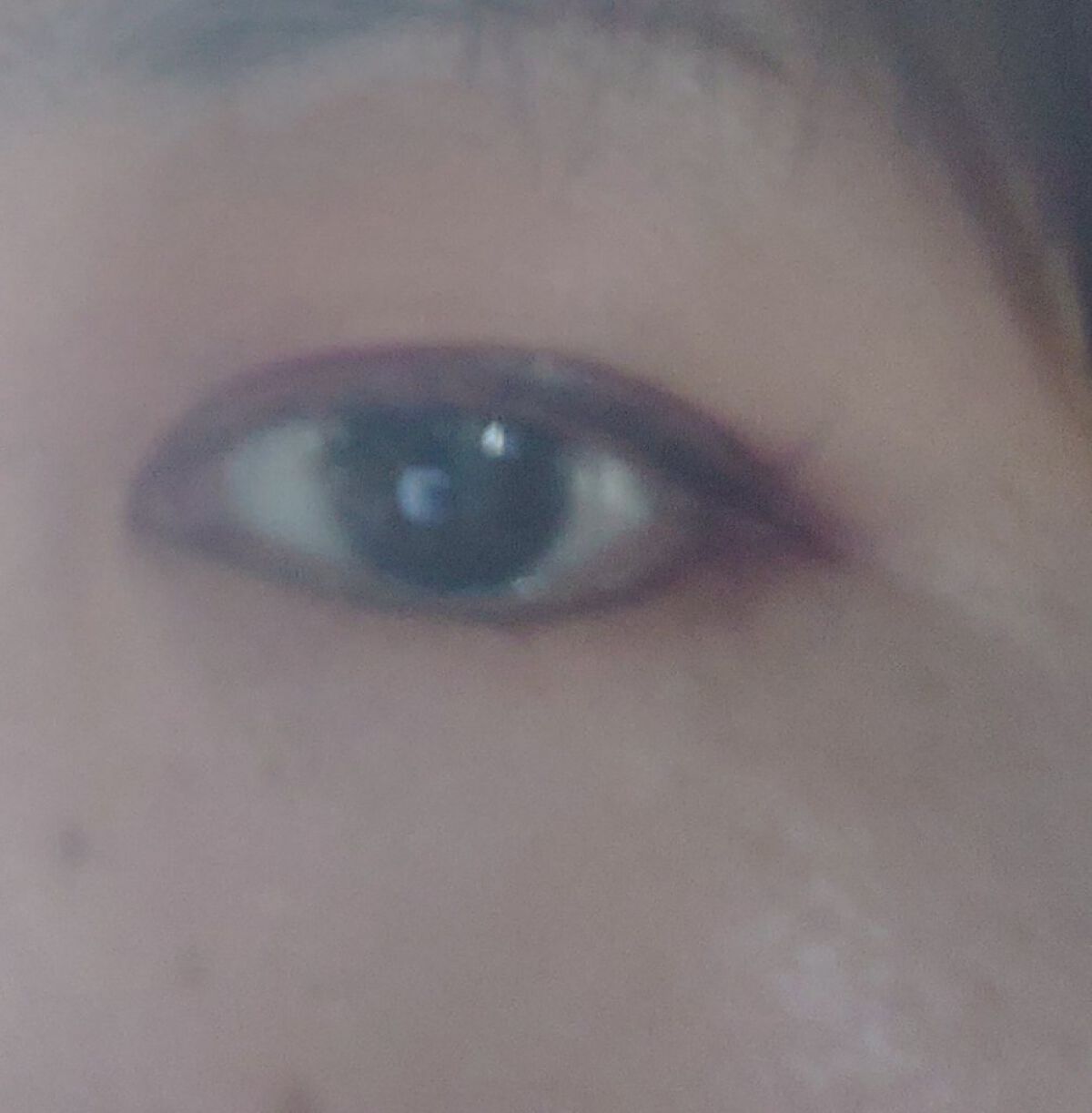 ✼••┈┈••✼••┈┈••✼••┈┈••✼••┈┈••✼
セザンヌトーンアップアイシャドウ10
セザンヌブラシ付アイブロウオリーブブラウン02
キャンメイククリーミータッチライナー04
塗るつけまつげロングナチュラルブラウン
✼••┈┈•