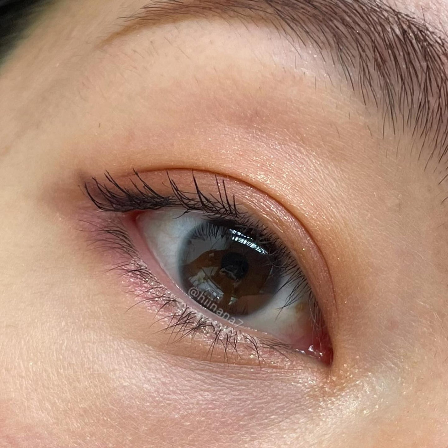 シグニチャー カラー アイズ/SUQQU/アイシャドウパレットを使ったクチコミ(5枚目)