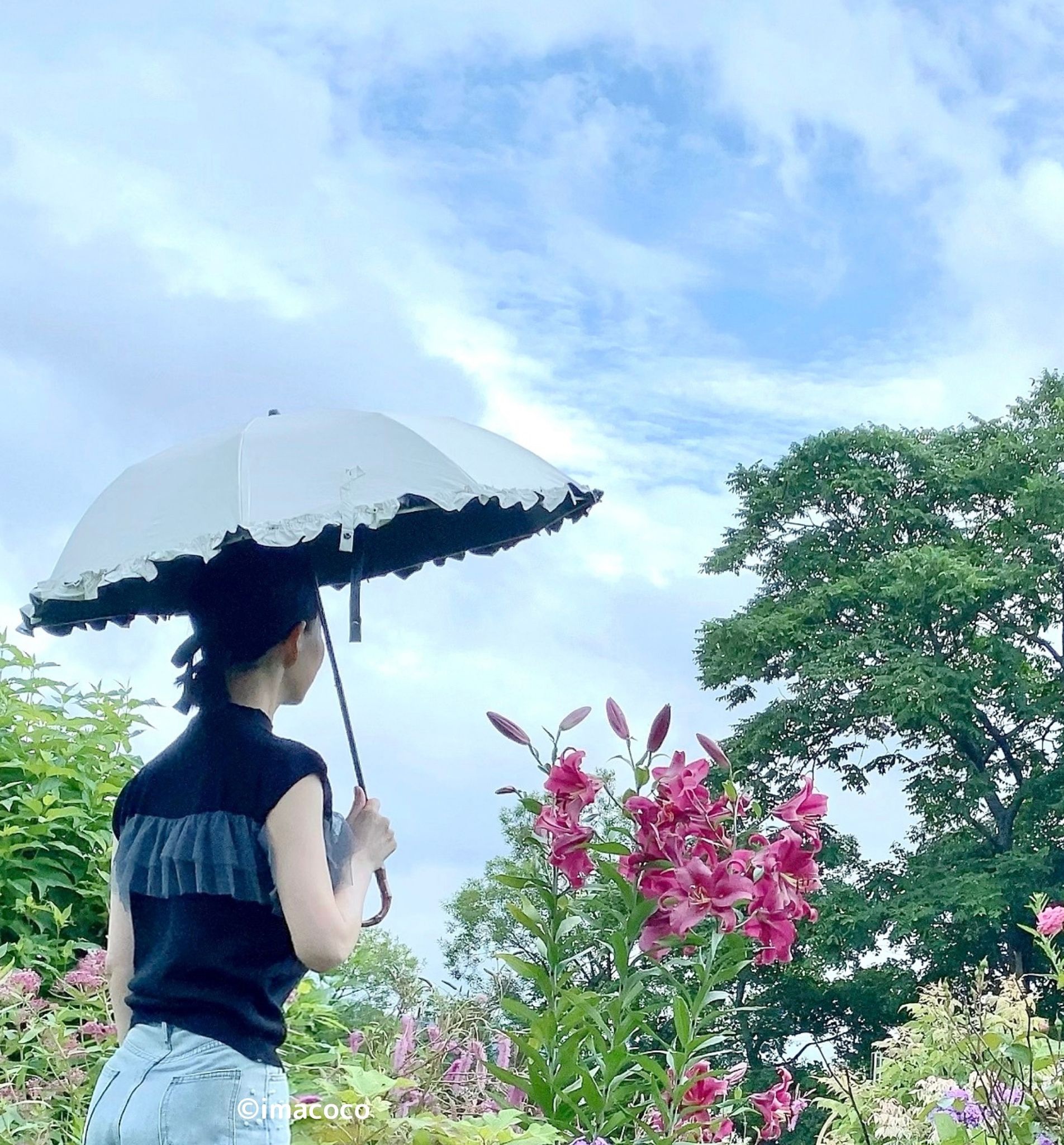 ALUCOOL 2段折りたたみ日傘 フレル/帽子屋 Loo＆c/日傘を使ったクチコミ（1枚目）