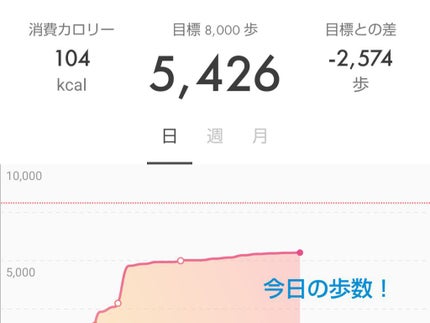 りんりん on LIPS 「みなさんこんにちは!ダイエット中のりんりんだよ〜今日は家から出..」(6枚目)