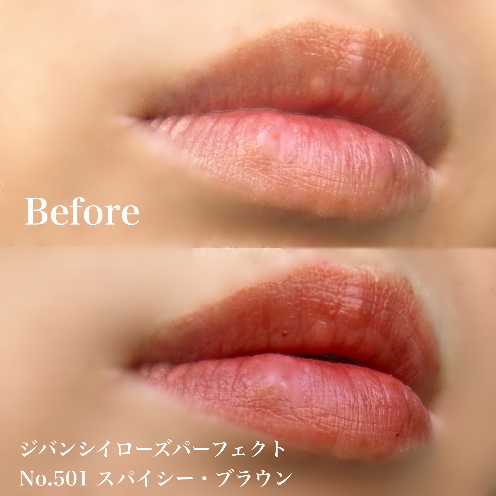 ローズ・パーフェクト No.501 スパイシー・ブラウン/GIVENCHY/リップバームを使ったクチコミ（2枚目）