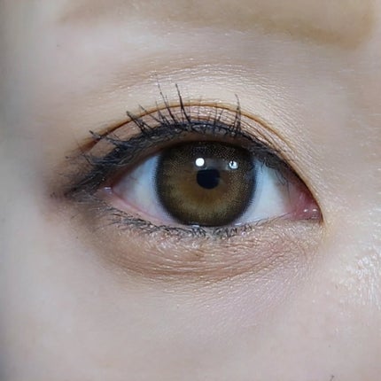 efos 1day ブリーズブラック/efos/ワンデー(1DAY)カラコンの画像