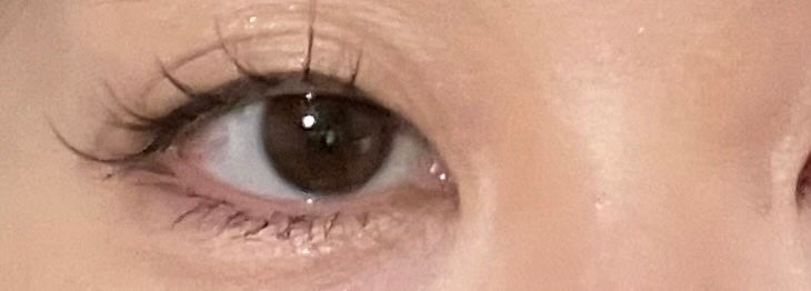 プランぷくコーデアイズ/キャンメイク/パウダーアイシャドウを使ったクチコミ(2枚目)