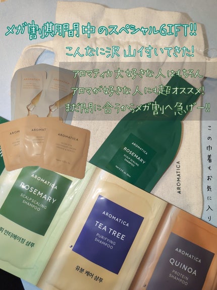 ローズマリーソルトスカルプシャンプー/AROMATICA/市販シャンプーを使ったクチコミ(6枚目)