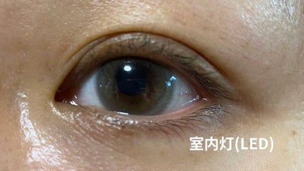 mimuco 1day/mimuco/ワンデー(1DAY)カラコンを使ったクチコミ(4枚目)