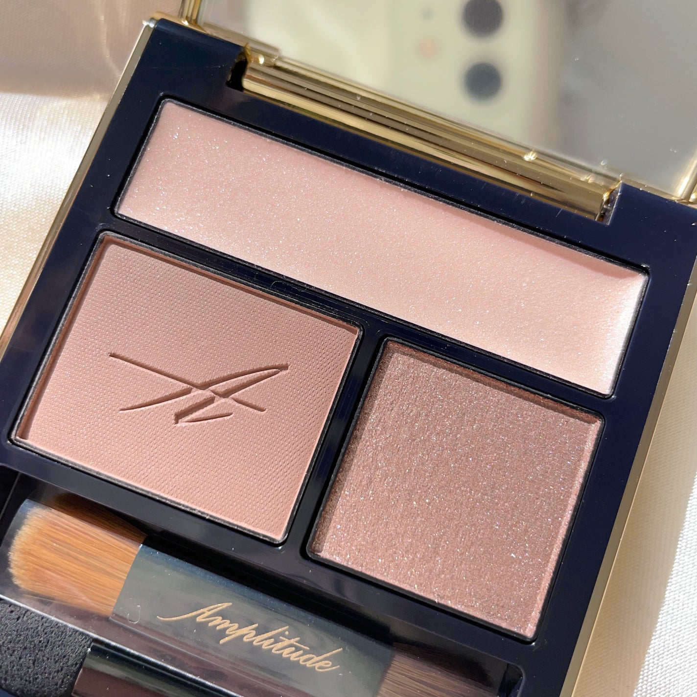 コンスピキュアス アイズ/Amplitude/アイシャドウパレットを使ったクチコミ(9枚目)