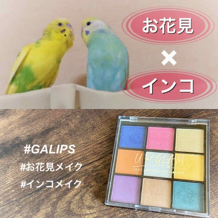 UR GLAM BLOOMING EYE COLOR PALETTE/U R GLAM/アイシャドウパレットを使ったクチコミ(1枚目)