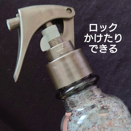 ハイドロミストN/plus eau/アウトバストリートメントを使ったクチコミ(2枚目)