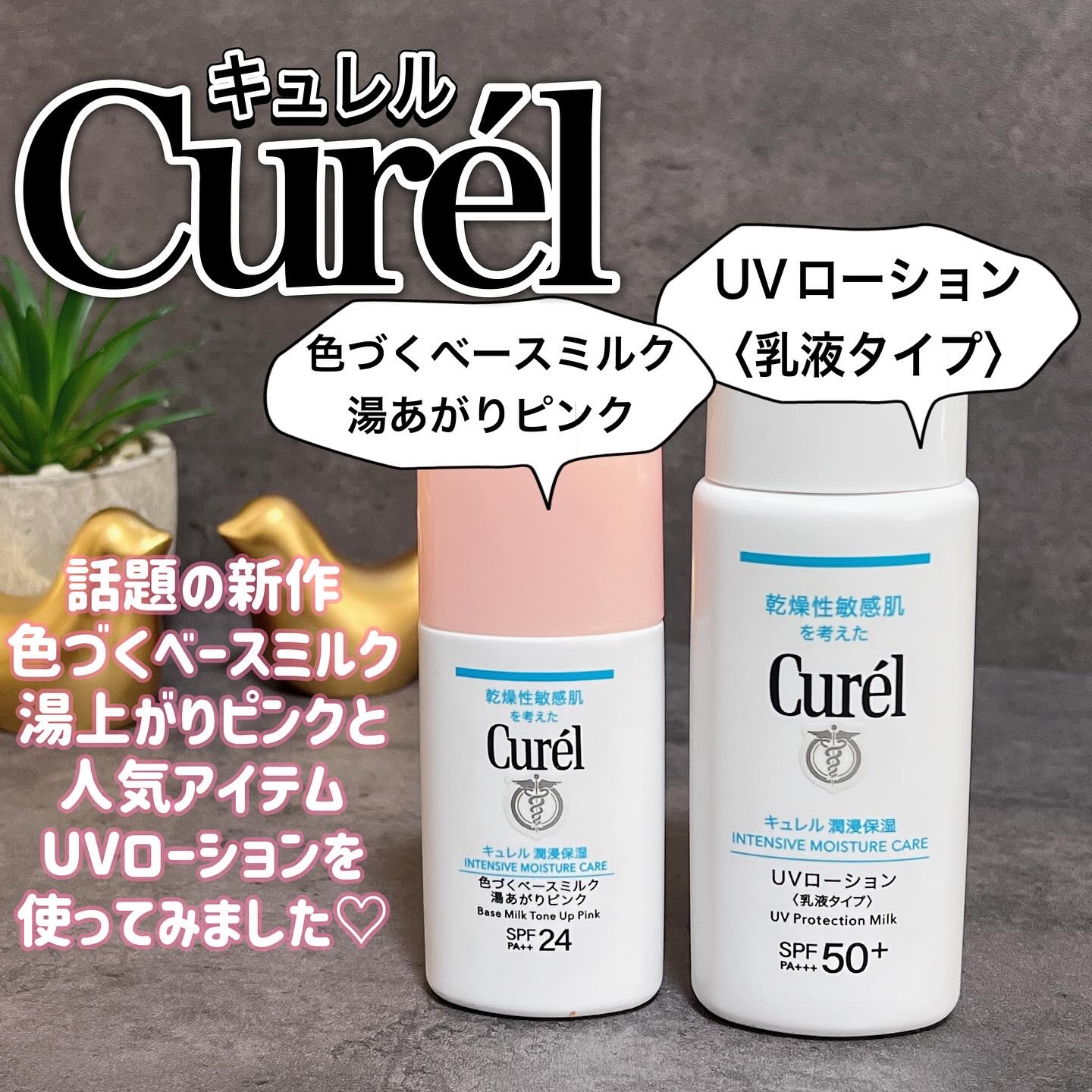 キュレル 潤浸保湿 色づくベースミルク 湯あがりピンク/キュレル/化粧下地を使ったクチコミ（2枚目）