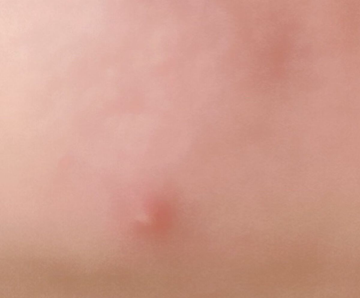 ファーミング EX ナイト クリーム SP  オールスキン/CLARINS/フェイスクリームを使ったクチコミ（2枚目）