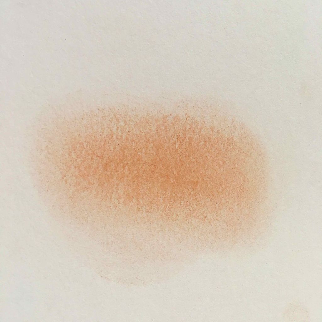 リシェ フォギーオン チークス/Visée/パウダーチークを使ったクチコミ(2枚目)