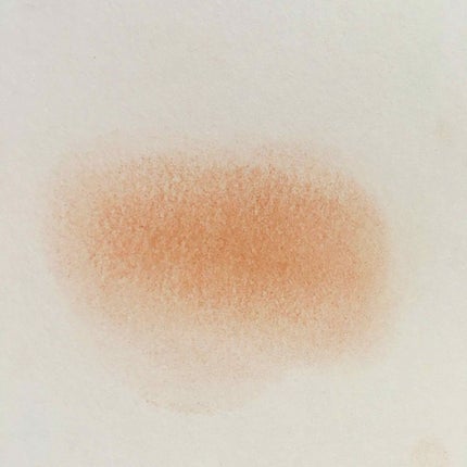 リシェ フォギーオン チークス/Visée/パウダーチークを使ったクチコミ(2枚目)