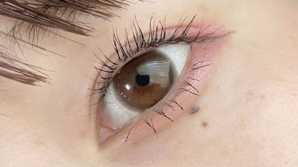 ラッシュボーン ブラックファイバーイン/MAJOLICA MAJORCA/マスカラ下地を使ったクチコミ（1枚目）