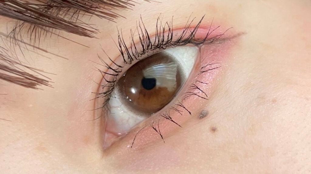 ラッシュボーン ブラックファイバーイン/MAJOLICA MAJORCA/マスカラ下地を使ったクチコミ(1枚目)