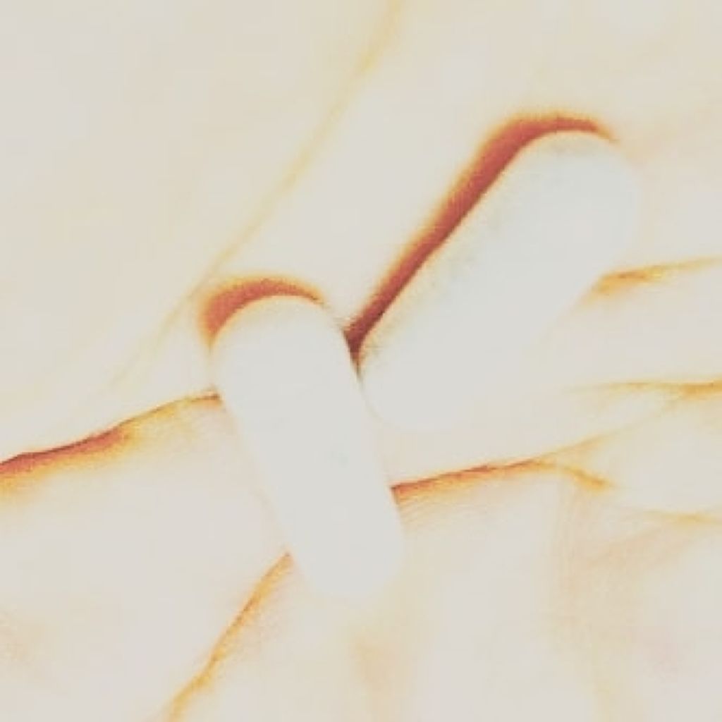 乙女の乳酸菌/美彩の森/健康サプリメントを使ったクチコミ（2枚目）