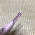 レッドパープル(PU&SI)