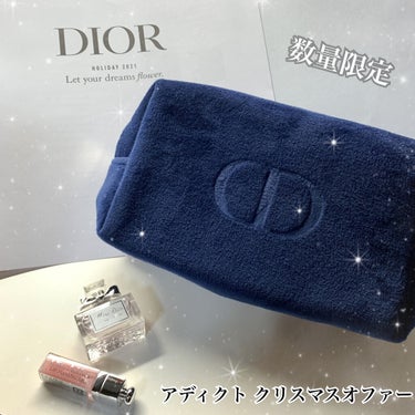 【旧】ディオール アディクト リップ マキシマイザー/Dior/リップグロスを使ったクチコミ（1枚目）