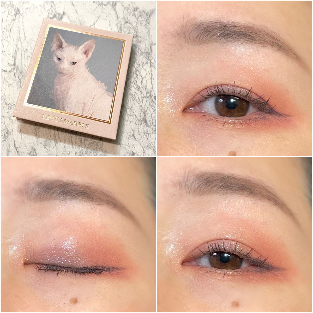 Venus Marble アイシャドウキャットシリーズ/Venus Marble/アイシャドウパレットを使ったクチコミ(1枚目)