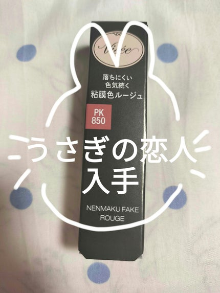 ネンマクフェイク ルージュ/Visée/口紅を使ったクチコミ(1枚目)