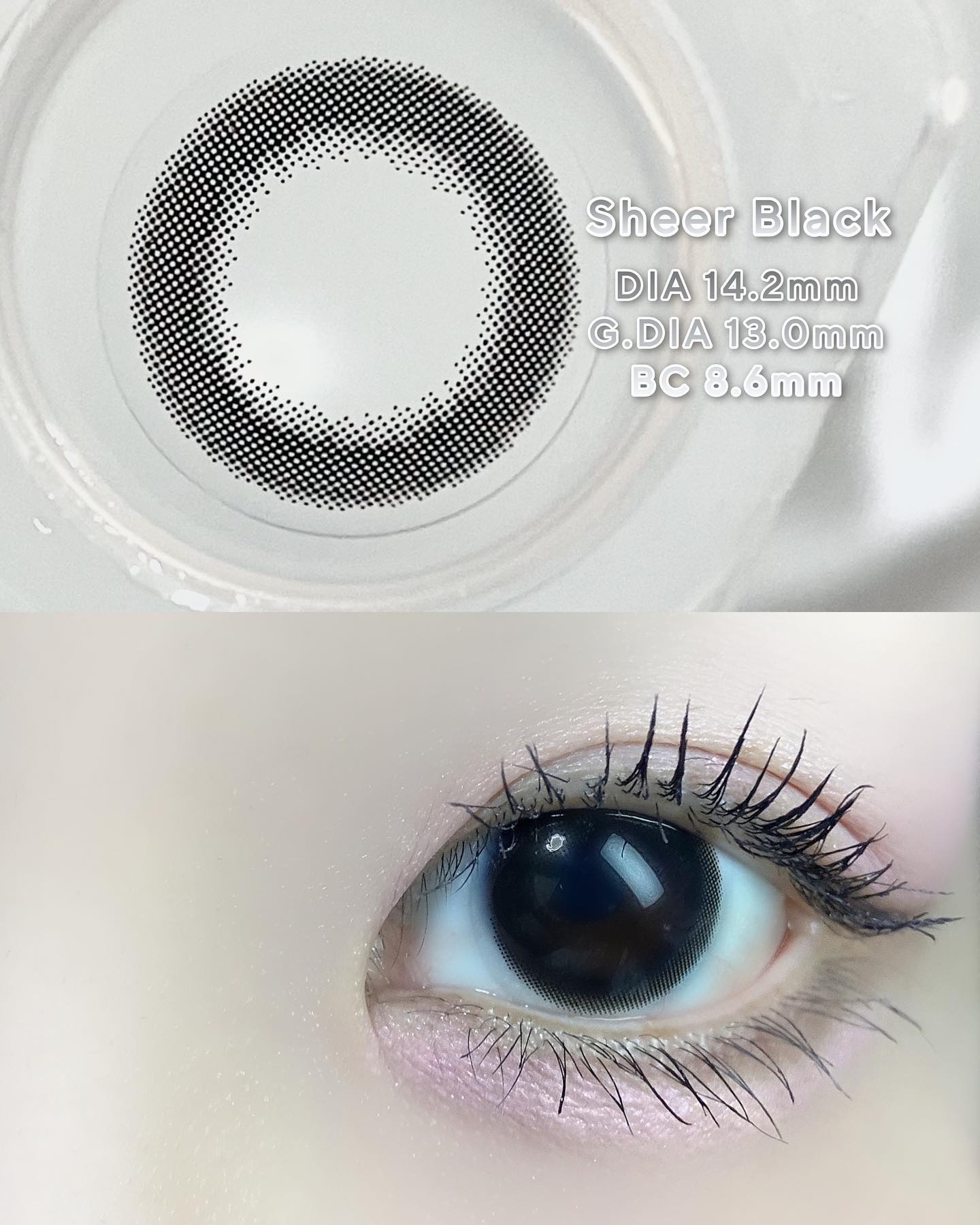 feliamo 1day シアーブラック/feliamo/ワンデー（１DAY）カラコンを使ったクチコミ（2枚目）