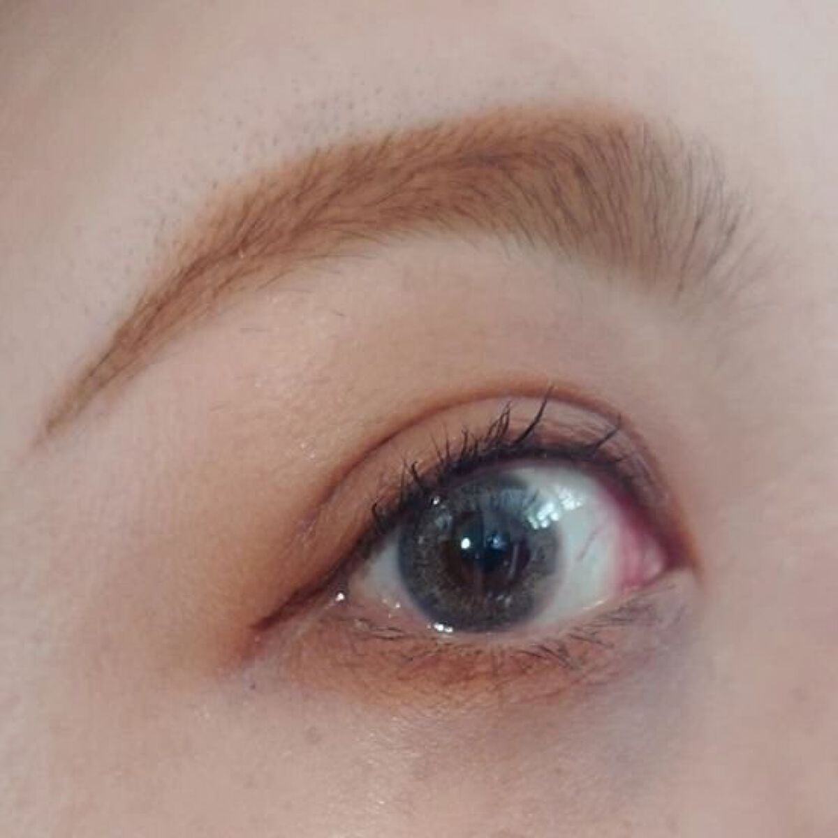 OMG kristin/Hapa kristin/カラーコンタクトレンズを使ったクチコミ(5枚目)