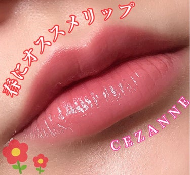 ラスティング リップカラーN/CEZANNE/口紅を使ったクチコミ（1枚目）