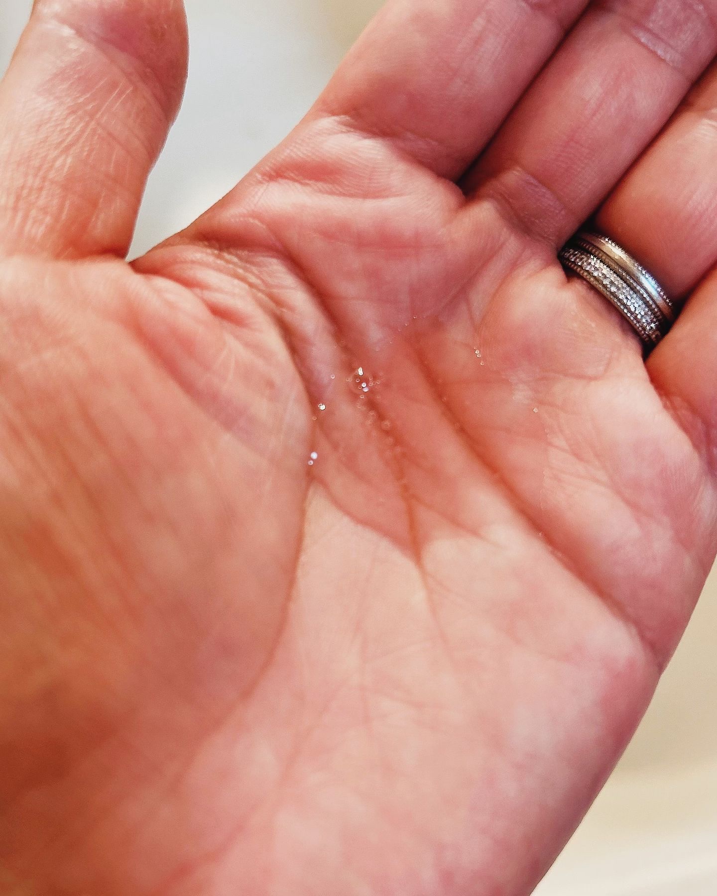 リフレッシュモーメントパフュームシャンプー/トリートメント Jeju Camellia/Free Moment /市販シャンプーを使ったクチコミ（2枚目）