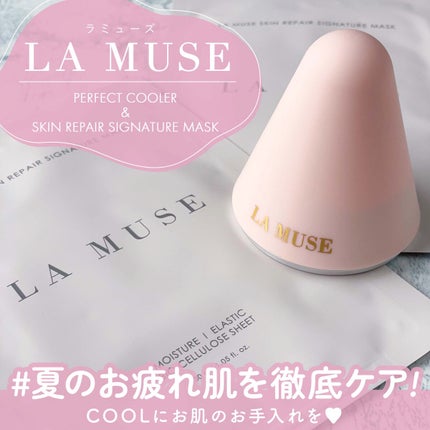 パーフェクトクーラー/ラミューズ/その他スキンケアグッズを使ったクチコミ(1枚目)