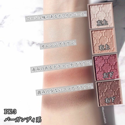 グロッシーリッチ アイズ N/Visée/アイシャドウパレットを使ったクチコミ(4枚目)