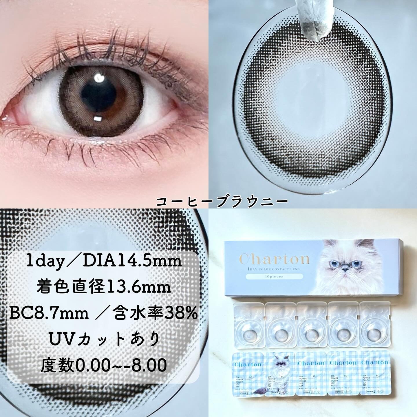 Charton 1day ビスケットスモア/Charton/ワンデー（１DAY）カラコンを使ったクチコミ（3枚目）