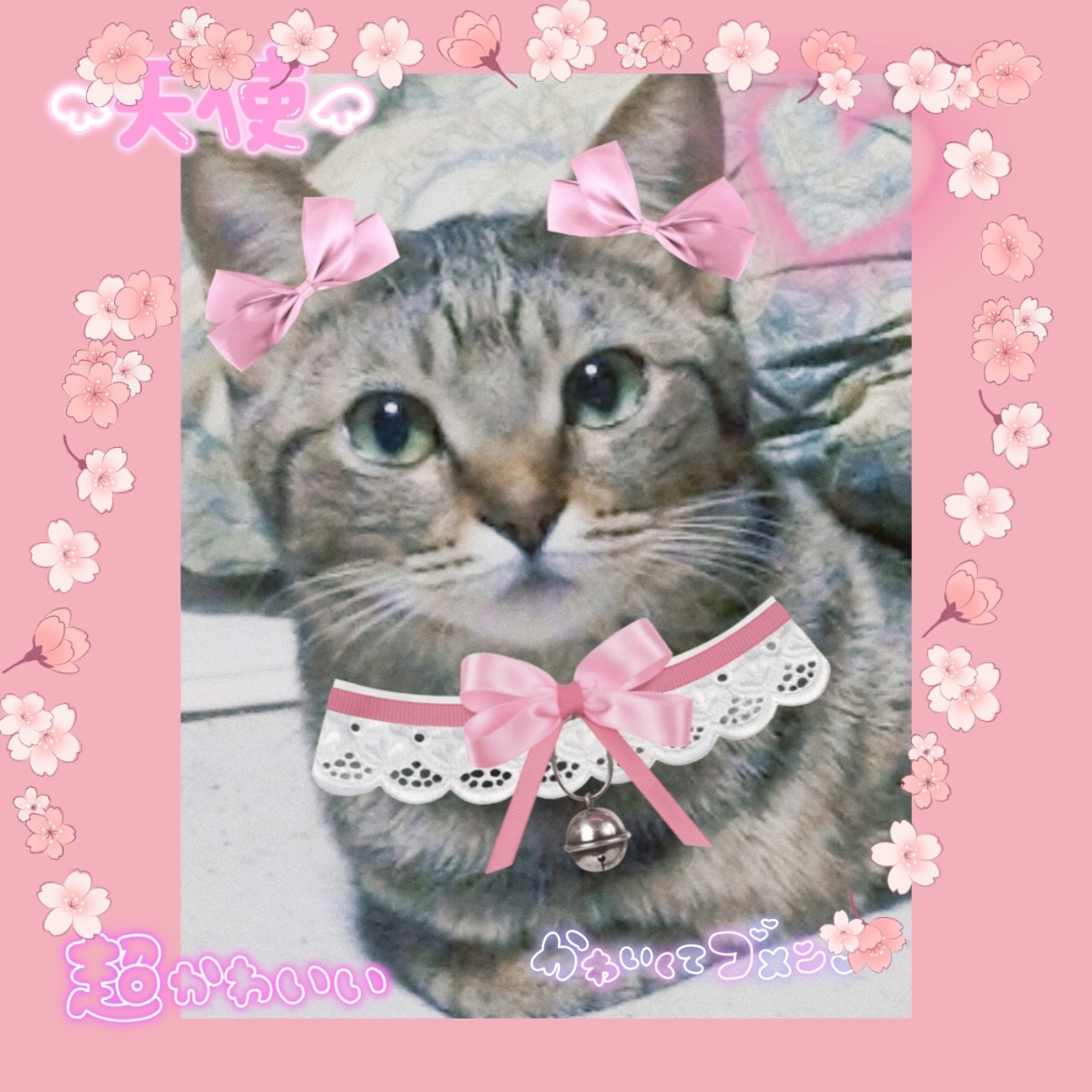 キャンドゥ購入品😄💞/キャンドゥ/その他を使ったクチコミ（3枚目）