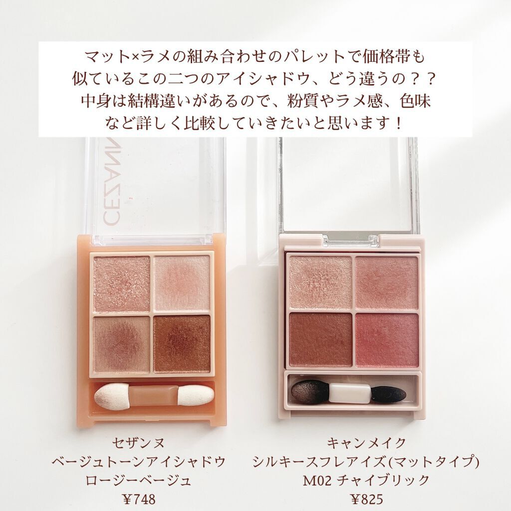 シルキースフレアイズ（マットタイプ）/キャンメイク/アイシャドウパレットを使ったクチコミ（2枚目）