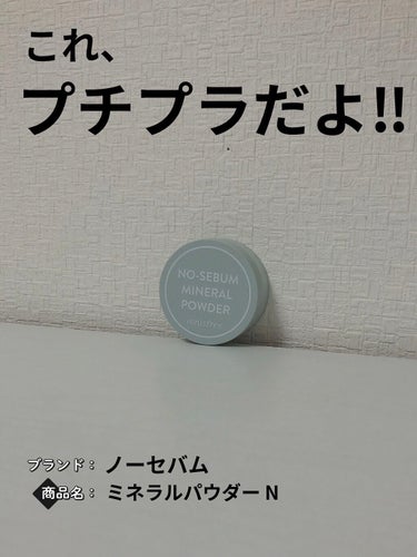 ノーセバム　ミネラルパウダー　N/innisfree/ルースパウダーを使ったクチコミ（1枚目）