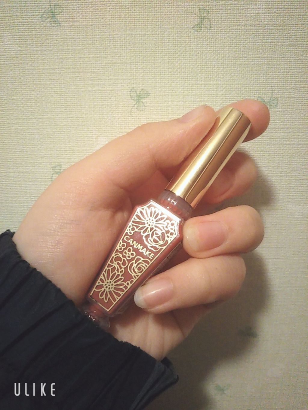 リップティントマット/キャンメイク/リップグロスを使ったクチコミ（2枚目）