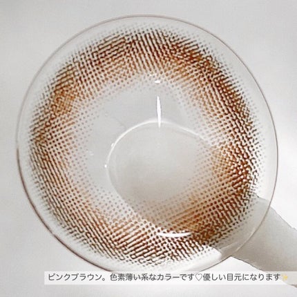 エバーカラーワンデー モイストレーベル チークプルーム/エバーカラー/ワンデー(1DAY)カラコンの画像