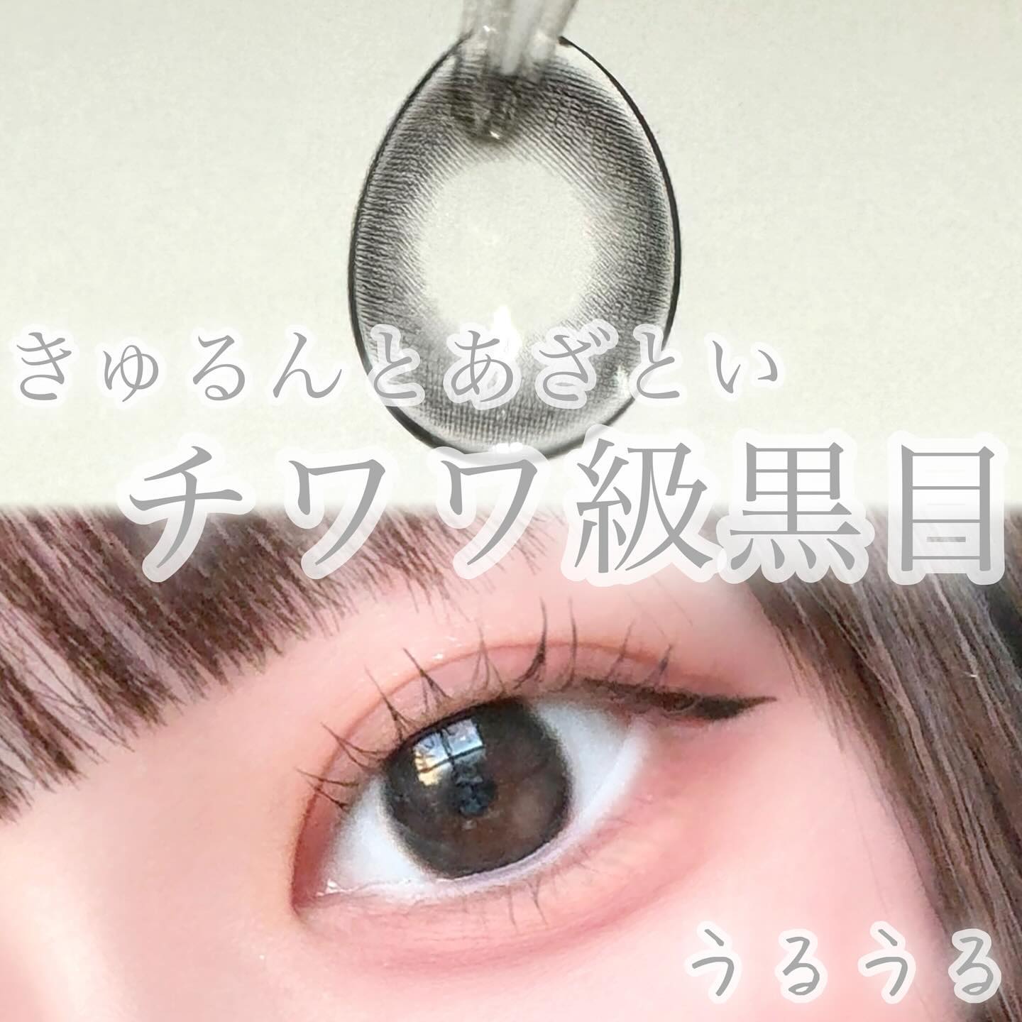 melady 1day レディブラック/melady/ワンデー（１DAY）カラコンを使ったクチコミ（1枚目）