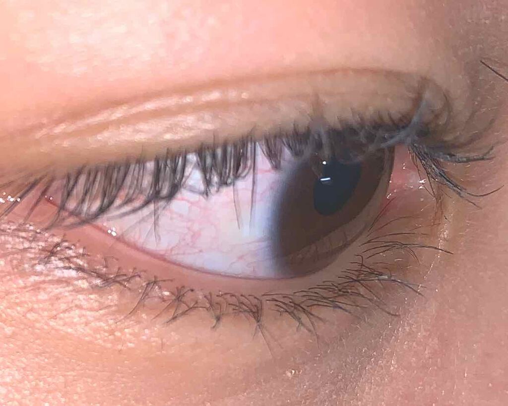 クイックラッシュカーラー/キャンメイク/マスカラ下地を使ったクチコミ(4枚目)