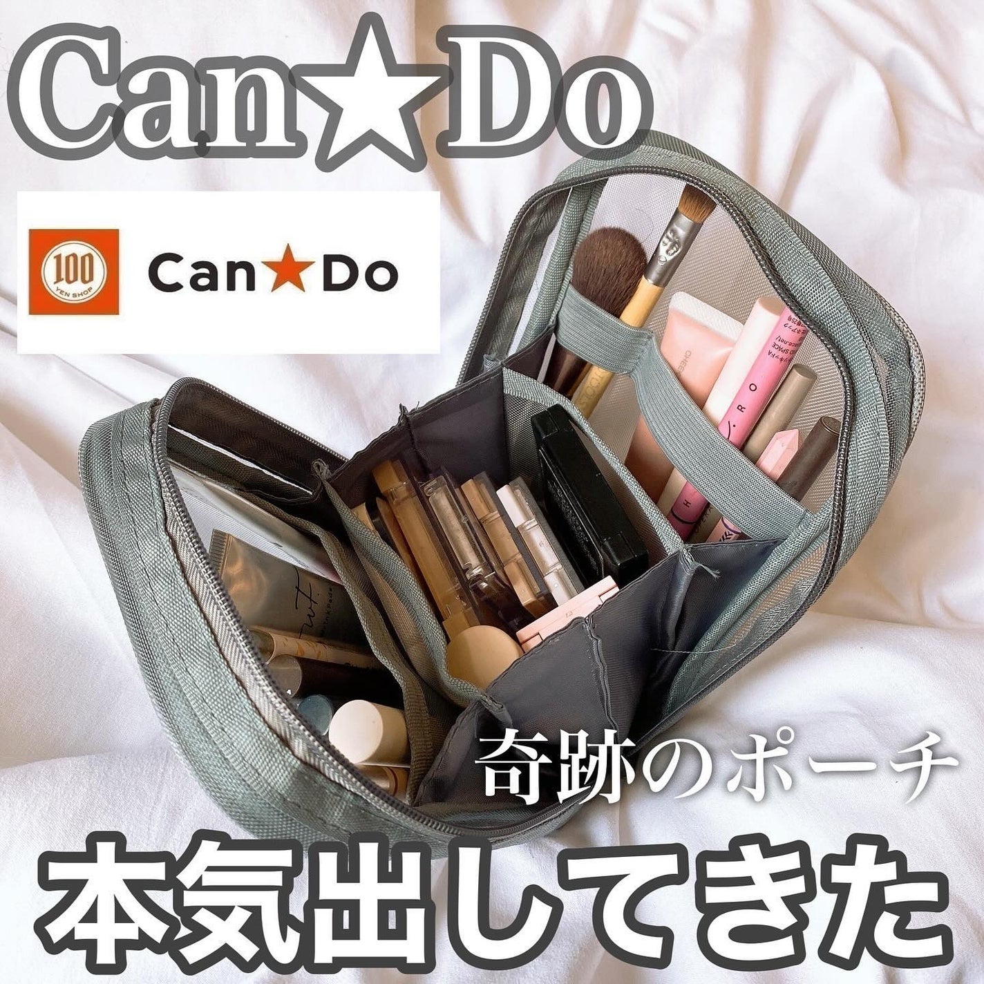 透明ちゃん@LIPSパートナー🤍 on LIPS 「ついに….キャンドゥから…..自立するメッシュ縦型ポーチが出て..」(1枚目)